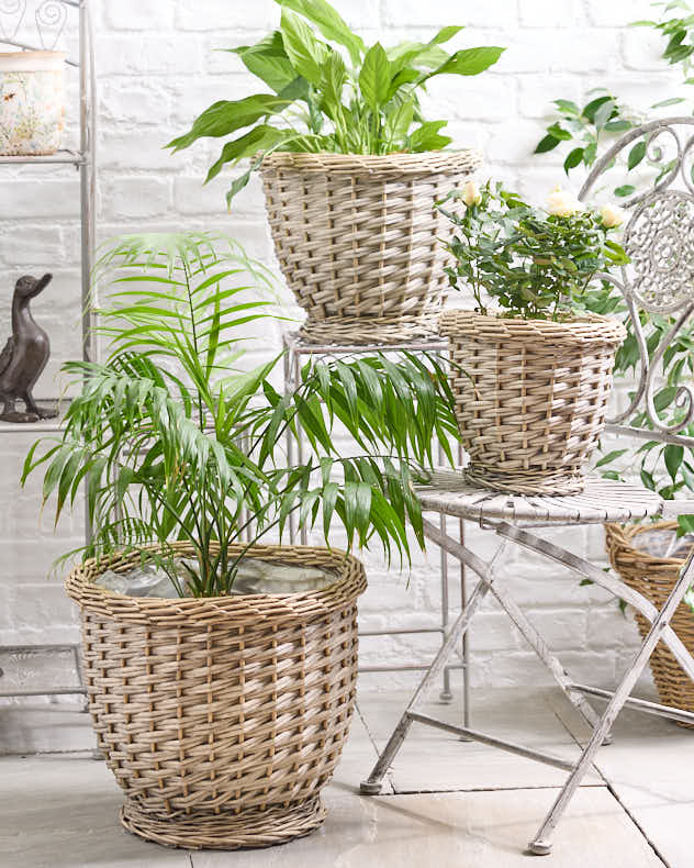 Set of Three French Woven Planters