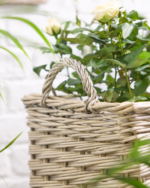 Set of 3 Basket Planters with Handles