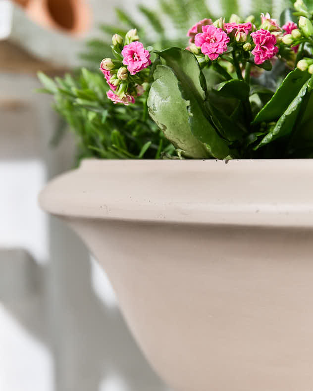 Wide Terracotta Urn Planter