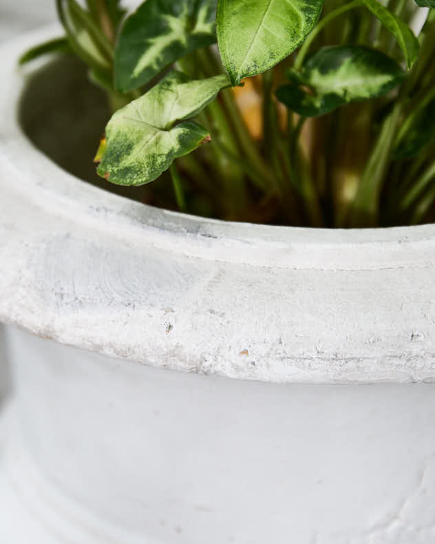 Aged Footed Jardinière Planter