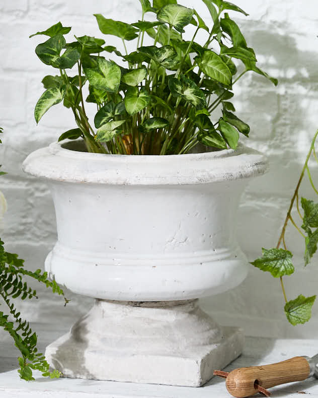 Aged Footed Jardinière Planter