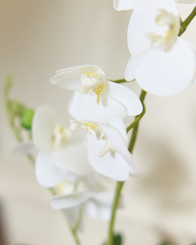 Faux Flowers - Artificial Potted White Orchid