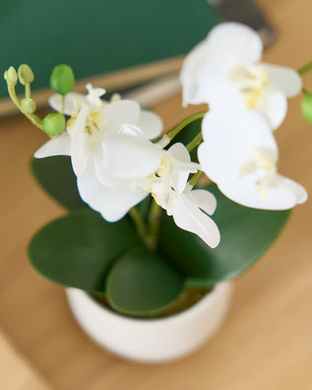 Artificial Potted White Orchid