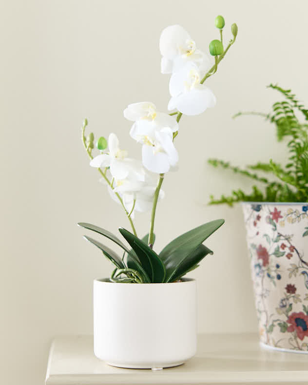 Artificial Potted White Orchid