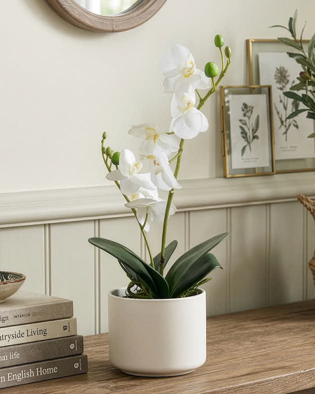 White & Green Plastic Faux Flowers - Artificial Potted White Orchid
