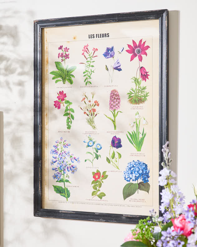 Wood Wall Plaques - Framed Botanical Flower Print
