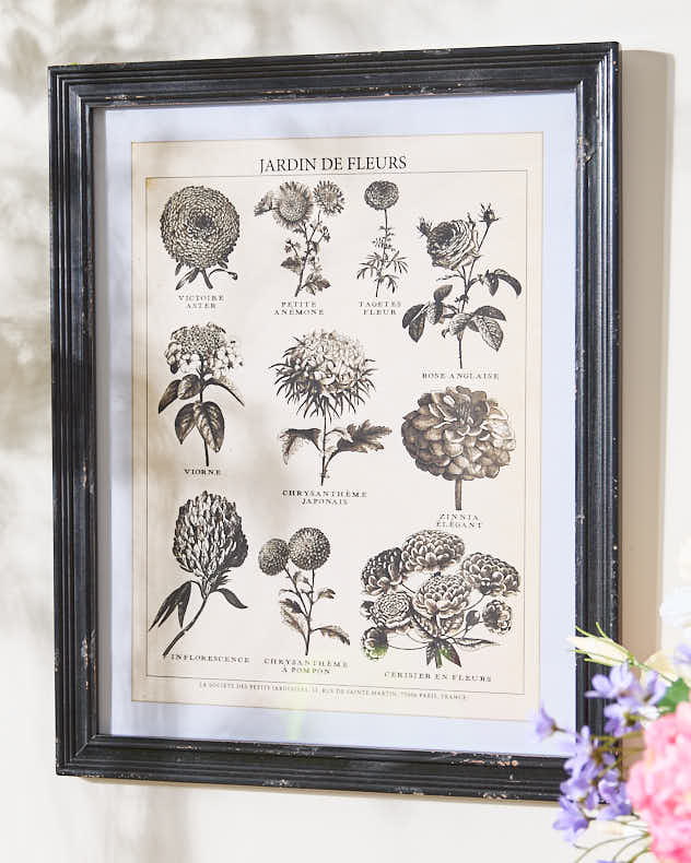 Black and White Framed Print