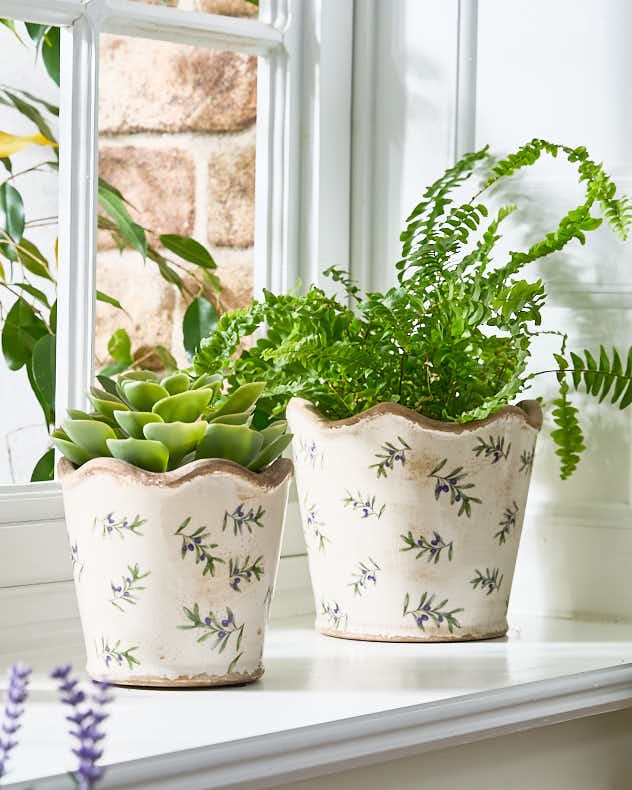 Large Multi-colour Ceramic Pots & Planters - Scalloped Edge Olive Planter
