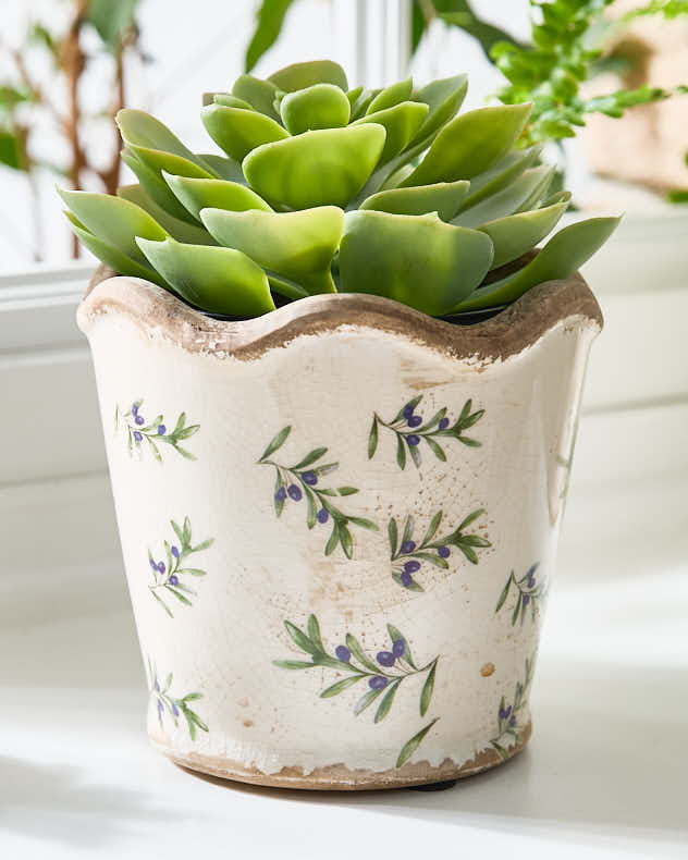 Pots & Planters - Scalloped Edge Olive Planter