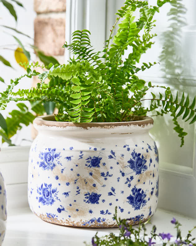 china pots for plants China Rose Planter | Pots & Planters