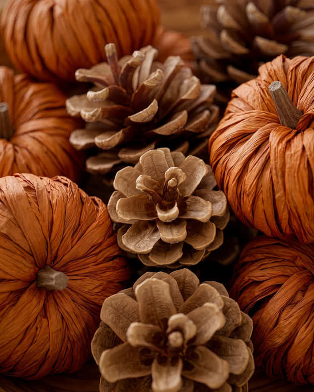 Autumn Pumpkin and Pinecone Box