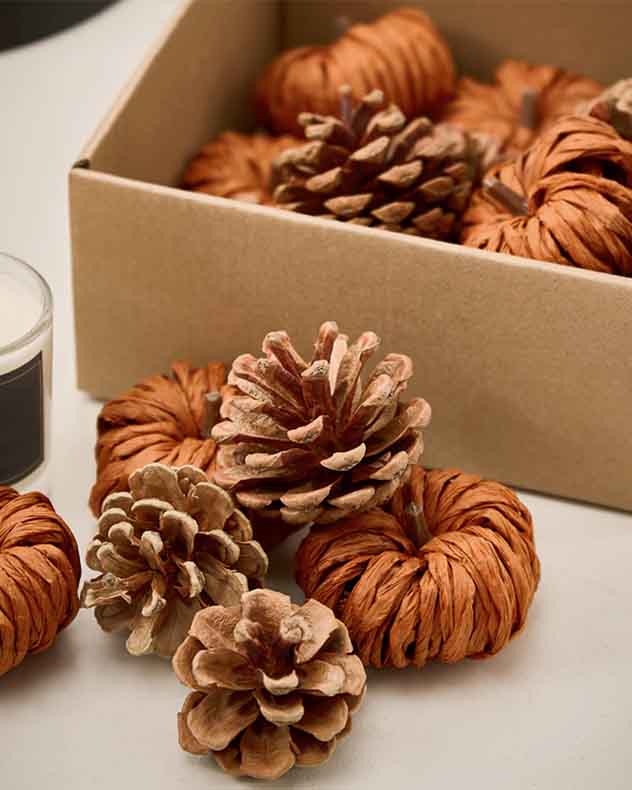 Brown &amp; Orange &amp; Natural Pinecone &amp; Paper Home Accessories - Autumn Pumpkin and Pinecone Box