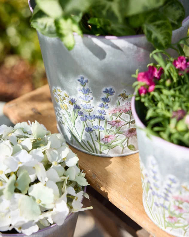 3 Set Spring Meadow Planters