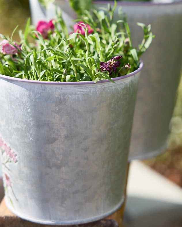 Spring Meadow Planters set