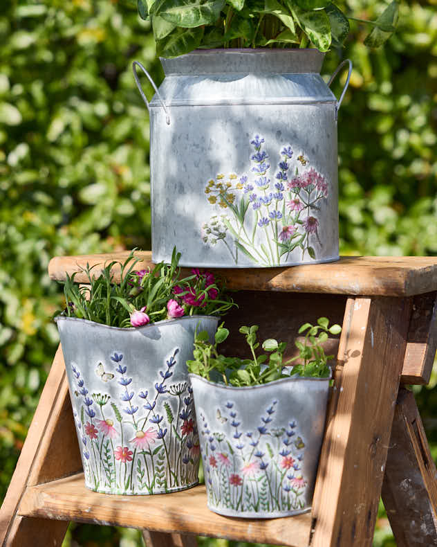 Wildflower Planter Collection