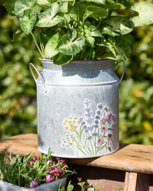 Pots & Planters Pitcher jug - Wildflower Planter Collection