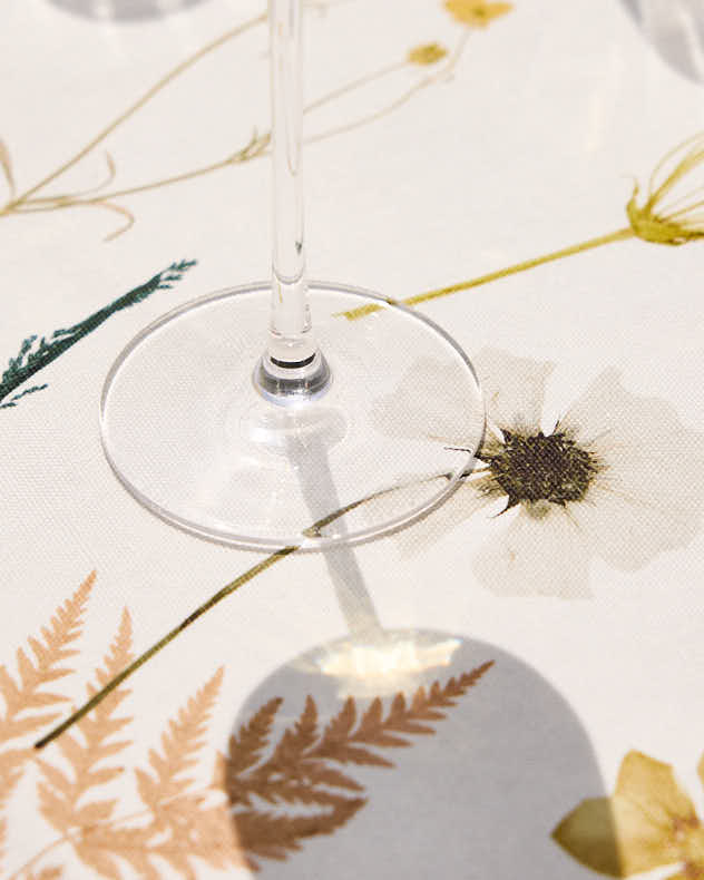 Set of 4 Ribbed Vintage Champagne flutes