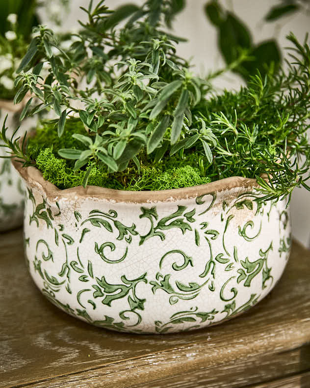 Irina Green Botanical Set of 3 Planters