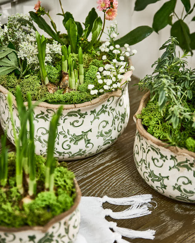 Irina Green Botanical Set of 3 Planters