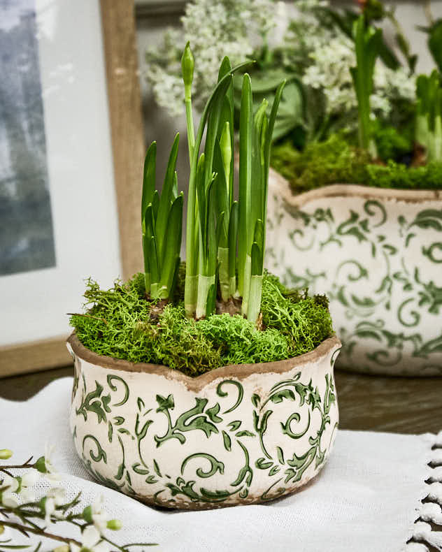 Irina Green Botanical Set of 3 Planters