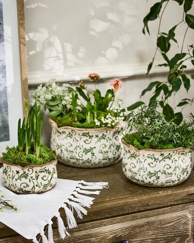 Irina Green Botanical Set of 3 Planters