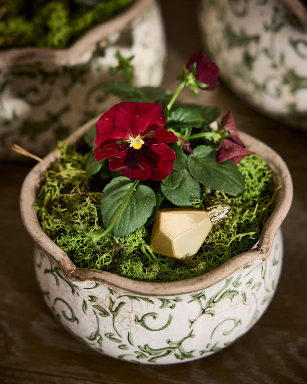Irina Green Botanical Set of 3 Planters