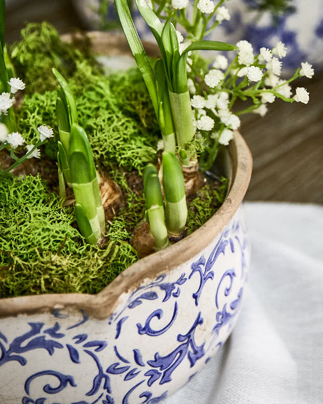 Personalised Solene Blue Gift Set of 3 Planters