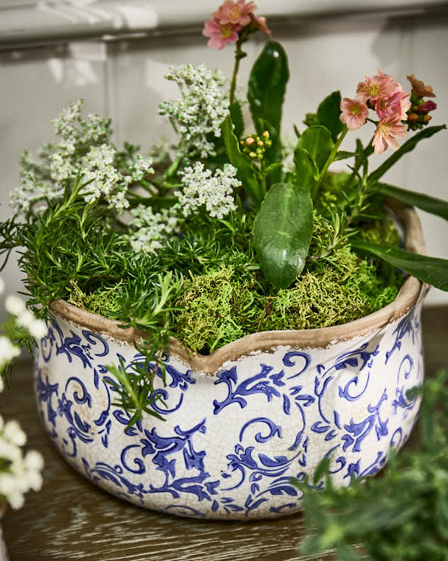 Pots &amp; Planters - Solene Blue Botanical Set of 3 Planters