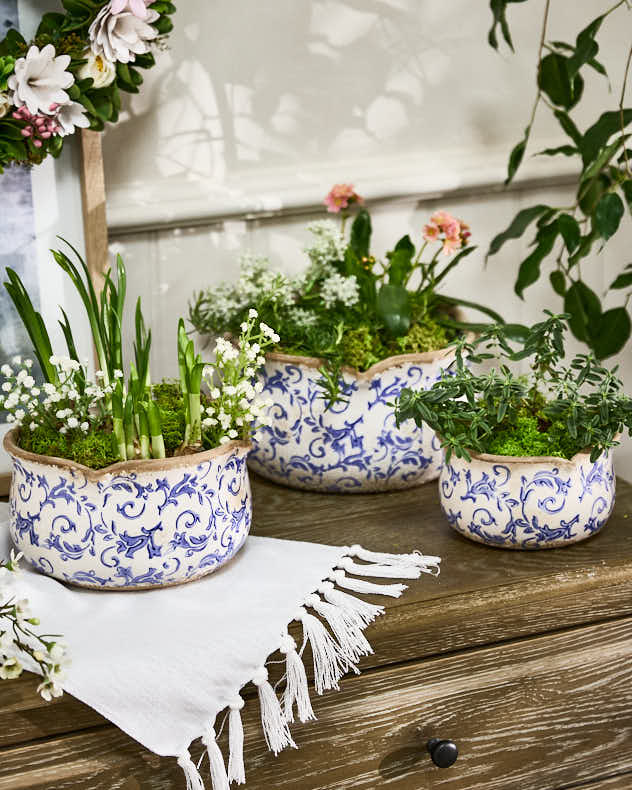 Solene Blue Botanical Set of 3 Planters