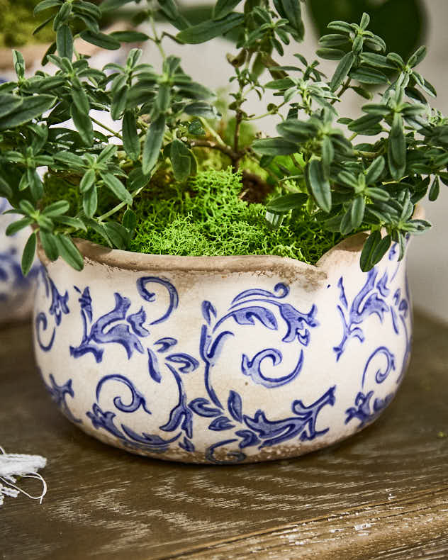 Small Botanical Planter