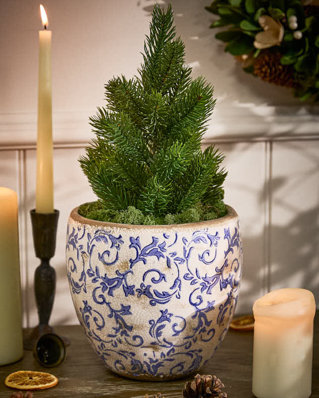 Solene Blue Botanical Pflanzgefäß