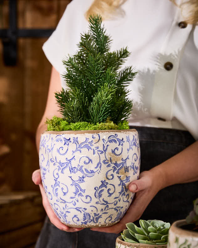 Pots &amp; Planters - Solene Blue Botanical Planter
