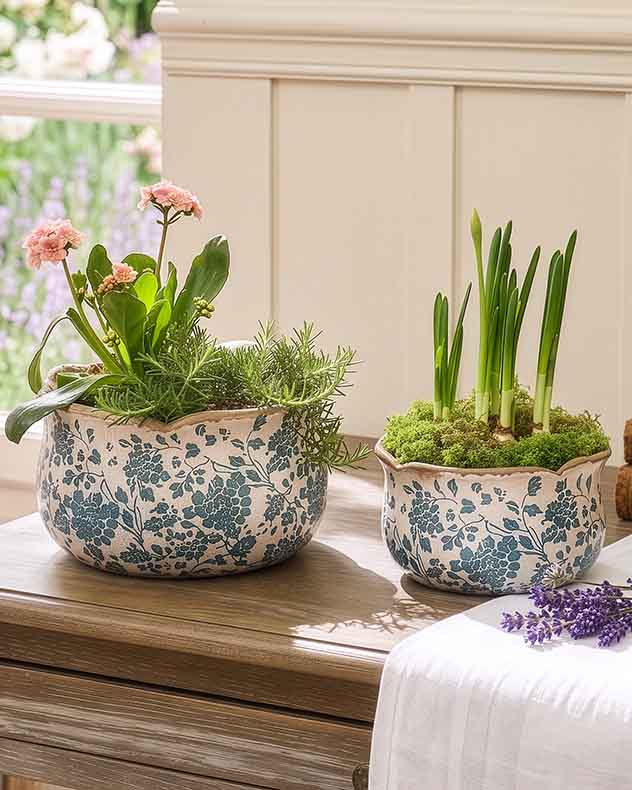 Fiorella Teal Botanical Set of 2 Planters