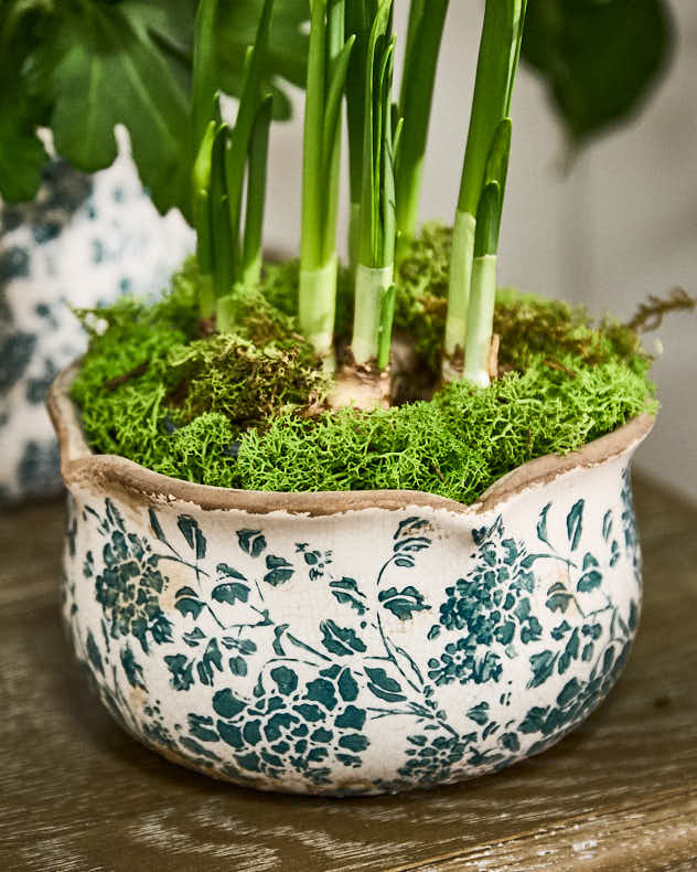 Fiorella Teal Botanical Set of 3 Planters