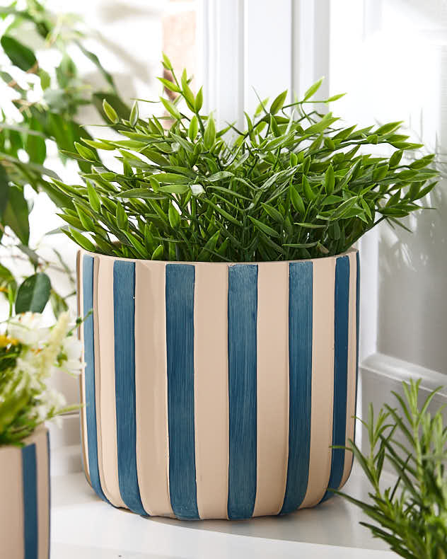 Lot de 3 jardinières à rayures bleues