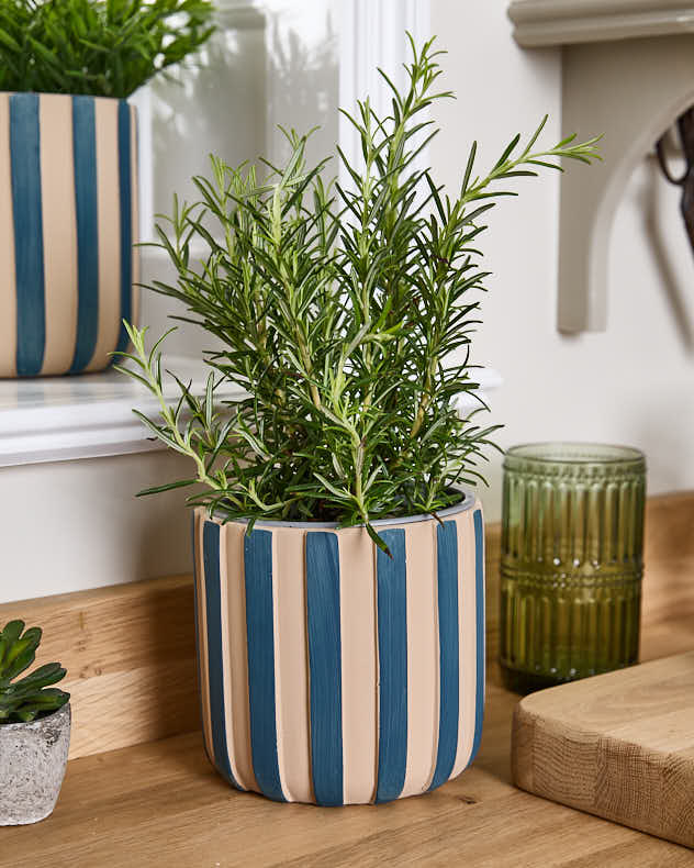 Lot de 3 jardinières à rayures bleues