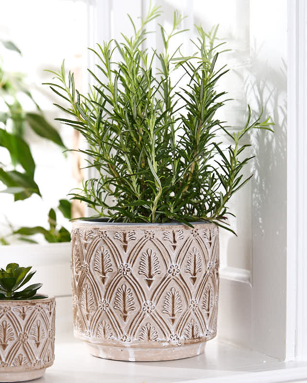 Lot de 3 pots de fleurs texturés beiges