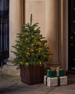 Brookleigh Pre-lit Front Door Tree - 3ft