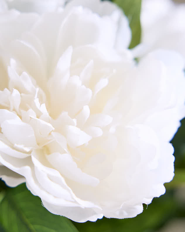 Faux White Peonies in Pot