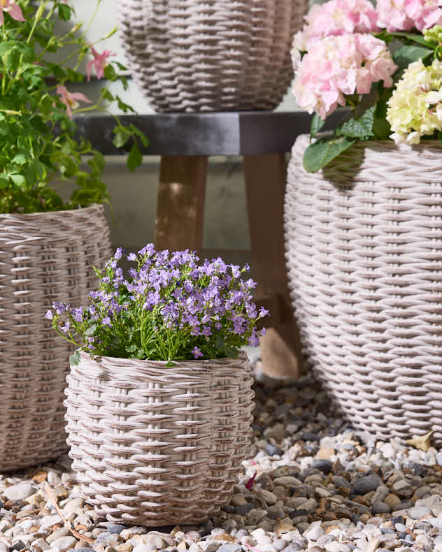 Set of 4 Rustic Clay Wicker Planters