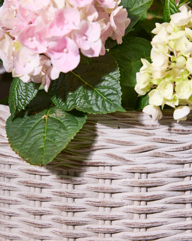 Set of 4 Rustic Clay Wicker Planters