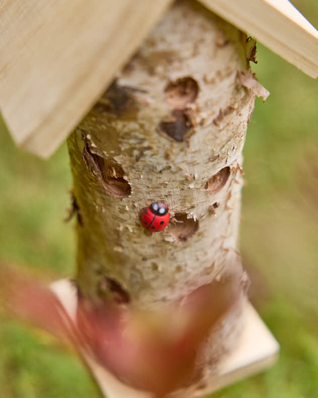 Natural Wooden Ladybird Tower