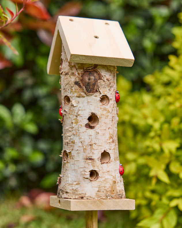 Natural Wooden Ladybird Tower