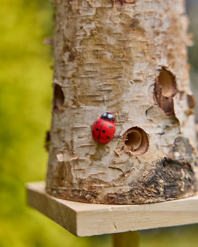 Natural Wooden Ladybird Tower