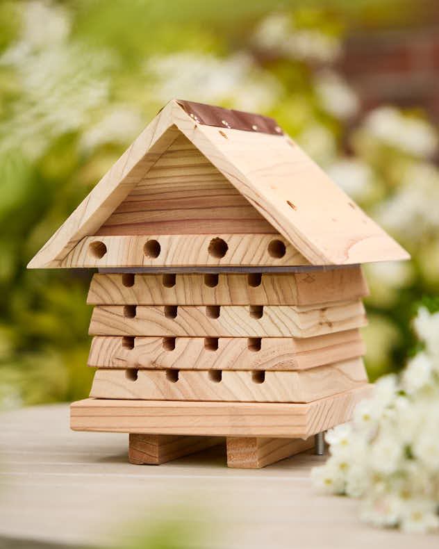 Rustic Wooden Bee Lodge