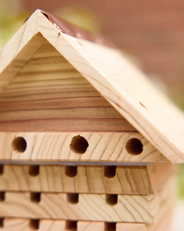 Rustic Wooden Bee Lodge