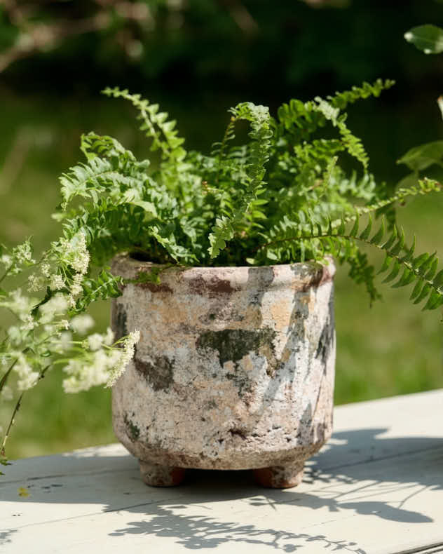 Earthy Terracotta Footed Planters