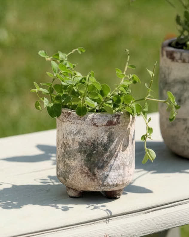 Earthy Terracotta Footed Planters