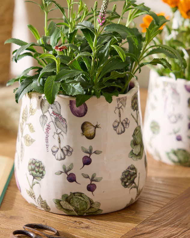 Harvest Vegetables Planter Collection