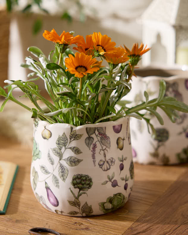 Pots &amp; Planters Pitcher Jug - Harvest Vegetables Planter Collection